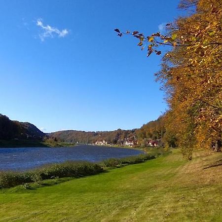 Ferienwohnung An Der Elbe Stadt Wehlen Eksteriør bilde