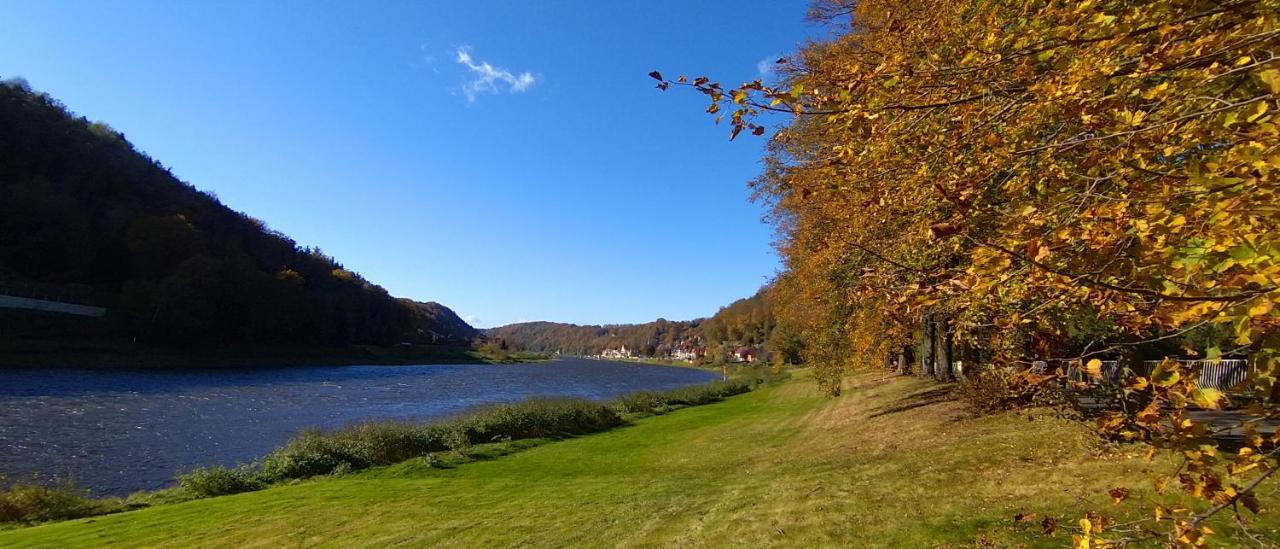 Ferienwohnung An Der Elbe Stadt Wehlen Eksteriør bilde