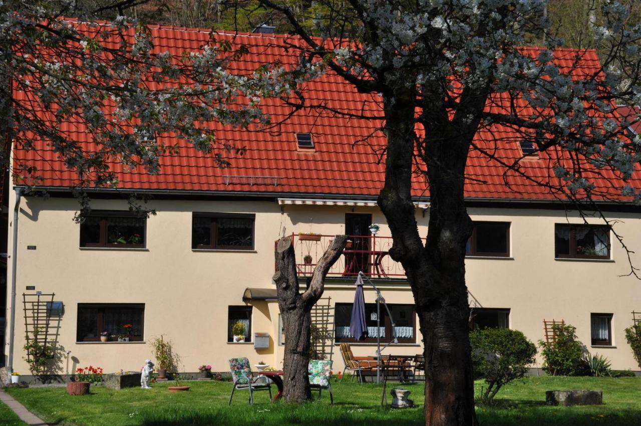 Ferienwohnung An Der Elbe Stadt Wehlen Eksteriør bilde